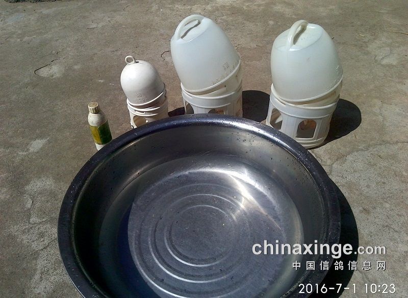 ´ڞg[DƬ
