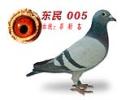 005
