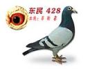 428