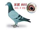 805