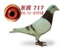 717