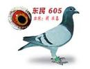 605