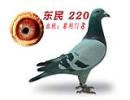 220