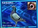 ̨�巨��