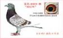 �ú�ĸ