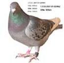 δ������