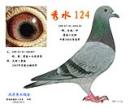 ��ˮ124