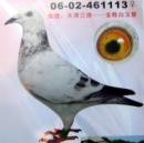 �������06-02-461113