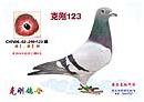 �˸� 123