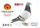 �˸�272