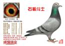 ʯ�嶷ʿ