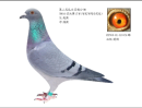 ����500�����Ǿ�