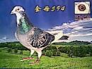 ��ĸ594