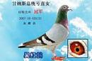 07�رȹھ�