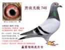������740