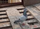 07��˫�عھ�
