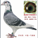 ��ͷ��У��