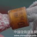 ���ܴ���