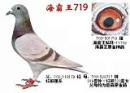 ������719