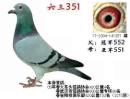 ����351