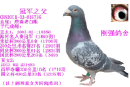 �ھ�֮��