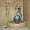����������4��