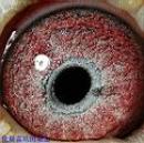 ����ϲ������־