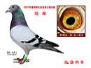07�궫ʢ�ھ�