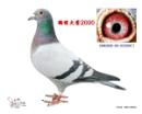 ���̻��2000