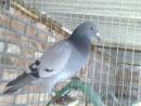 �ҵİ���
