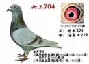 ����704