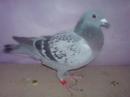 ������ԭ��������ԭ 08-32-357735ɰ��