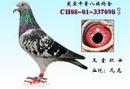 ����֯Ů