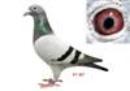 �Ҽ��Ÿ�