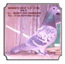 2009-27-100685  �ػͷ��칫����ʮ����