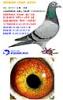 �ҵ�����