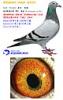 �ҵ�����