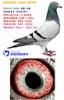 �ҵ�����