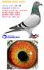 �ҵ�����