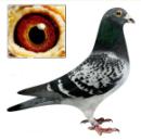 �������ħ��ϵ