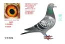��ѩ��Է