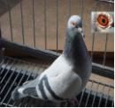 21��