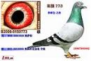 ��ǿ773