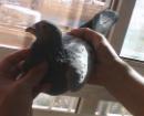 2222