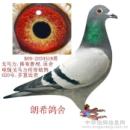 B09-2054318  ����  ����