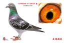 CHN2006-07-089129