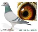 1999-33-041482��