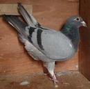 220����13����