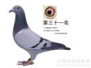 �������蹫��280����30��