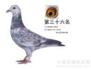 �������蹫��280����36��
